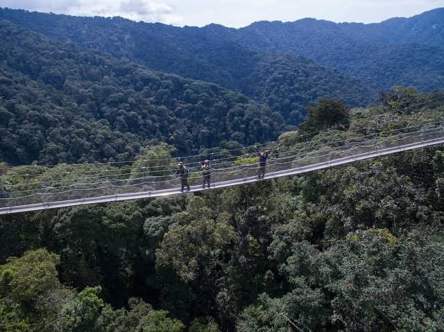 Nyungwe tour